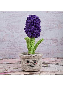 Hyacint in bloempotje