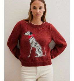 Trui met dalmatier gemaakt van Phildar Phil Lambswool 51