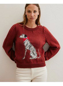 Trui met dalmatier