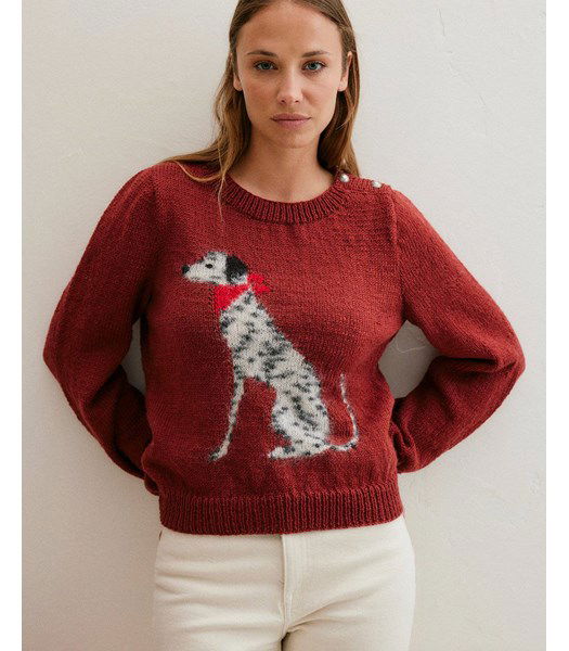 Breipatroon Trui met dalmatier