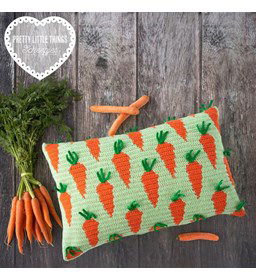 Kussen gemaakt van Scheepjes Colour Crafter