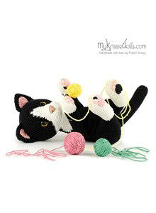 Zwart witte kater Felix