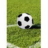 Voetbal