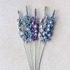 Bloemen Delphinium