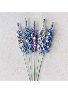 Bloemen Delphinium