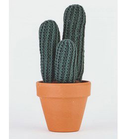 Cactus pilosocereus glaucesens