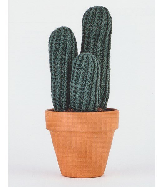 Haakpatroon Cactus pilosocereus glaucesens