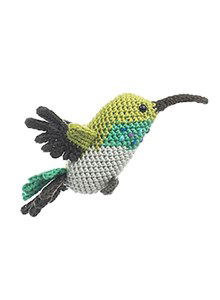 Vogel mangrove amazilia