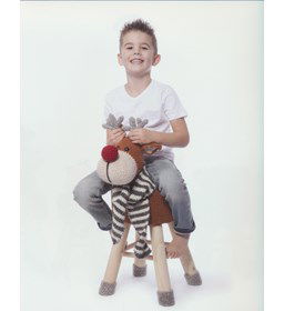 rendier gemaakt van Lopi Alafosslopi