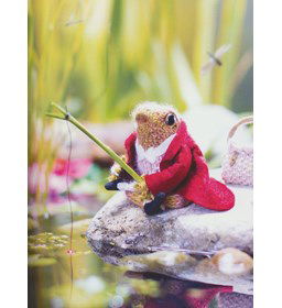 Jeremias Hengelaar gemaakt van Drops Alpaca