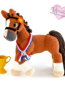 prijswinnende pony Jazz met sjerp en beker