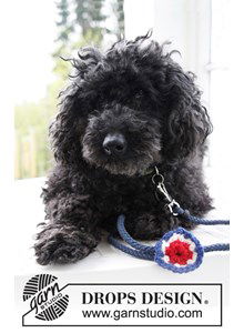 DROPS decoratieve bloem voor Feestdagen voor je hond van Alaska