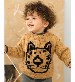 Kindertrui gemaakt van Phildar Phil Tweedy