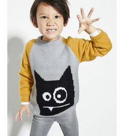 Jongens trui gemaakt van Phildar Phil Caresse