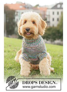 Warme gebreide hondentrui van wol | Breipatroon