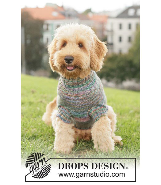 Breipatroon Warme gebreide hondentrui van wol | Breipatroon