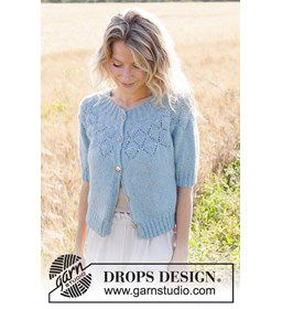 Blauwe Bes Vest gemaakt van DROPS Sky