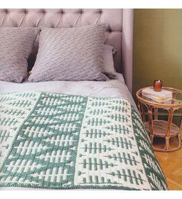 Deken Ode aan de boerenkool gemaakt van Scheepjes Colour Crafter