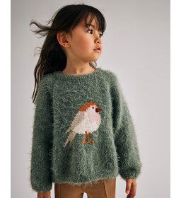 Zachte trui met vogel gemaakt van Phildar Phil Caresse