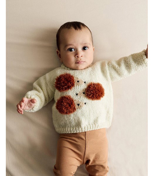 Breipatroon babytrui met egeltjes