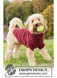 Warme gebreide hondentrui van zachte, dikke wol