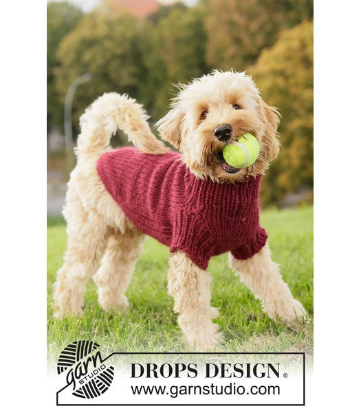 Breipatroon Warme gebreide hondentrui van zachte, dikke wol