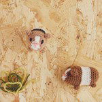 Haakpatroon Minidier Cavia