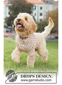 Comfortabele hondentrui breien in warme wolmix