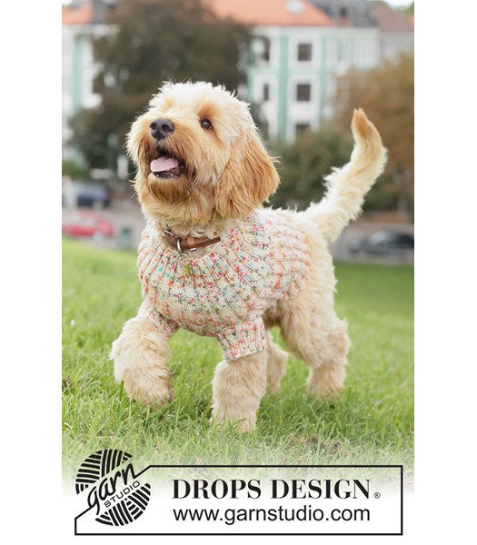 Breipatroon Comfortabele hondentrui breien in warme wolmix