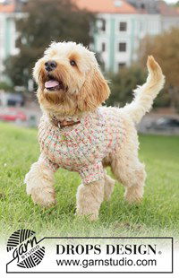 Comfortabele hondentrui breien in warme wolmix