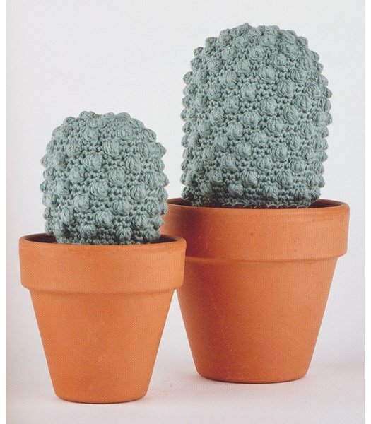 Haakpatroon Cactus eriosyce napina