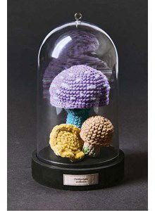 Cantharel, sprankelende paddenstoel en morel Ricorumi Shrooom