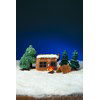 Winterwoud