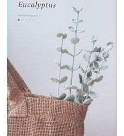 Eucalyptus gemaakt van Scheepjes Maxi Sweet Treat