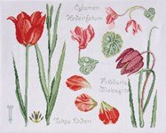 Borduurpatroon Tulipe et cyclamen