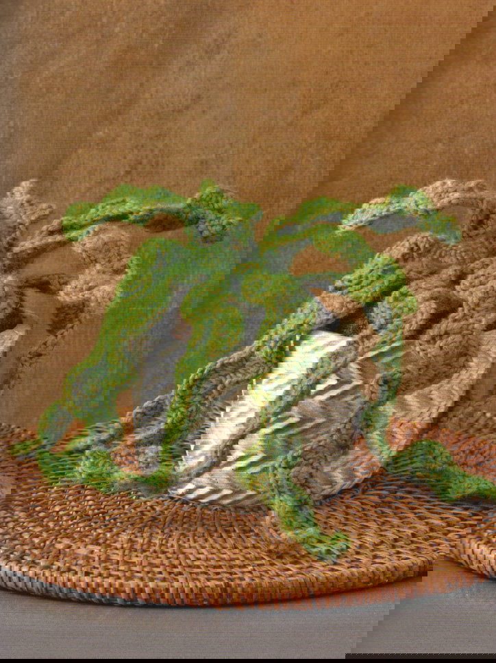 Haakpatroon zaagcactus met golvende ....