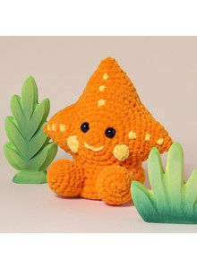 Kroeltje Zeester Zayn