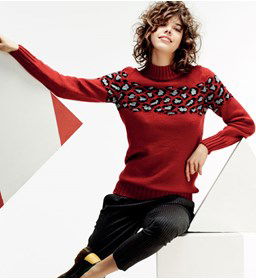 Dames trui gemaakt van Handwerk accesoires