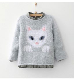 Trui gemaakt van Phildar Phil Beaugency