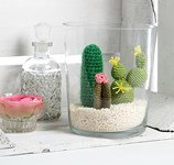 Haakpatroon Cactussen