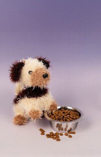 harig meerkleurig hondje 