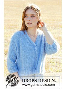 Schilderachtige Lucht Vest