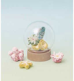 Zeetuintje met koraal, zeeanemoon en schelpen