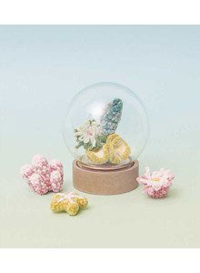 Zeetuintje met koraal, zeeanemoon en schelpen