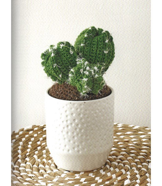 Haakpatroon cactus haken