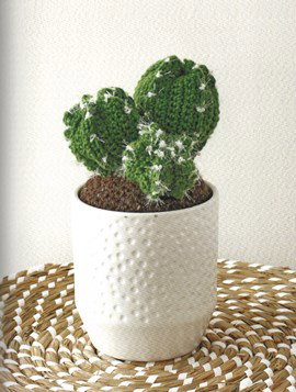 Haakpatroon monstrose appelcactus met ....