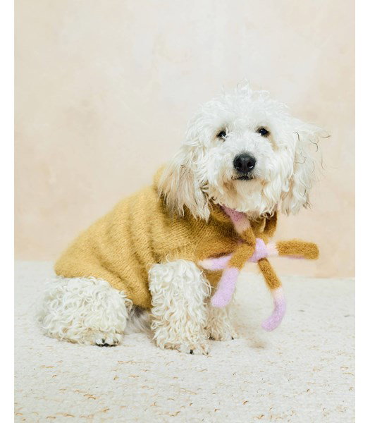 Breipatroon hondejasje Billie