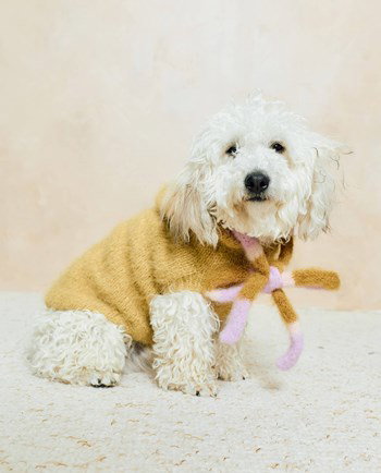 hondejasje Billie