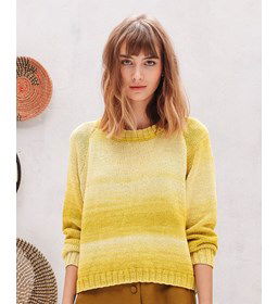 Dames trui gemaakt van Phildar Phil Degrade (op=op)