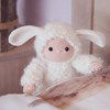 Schaap